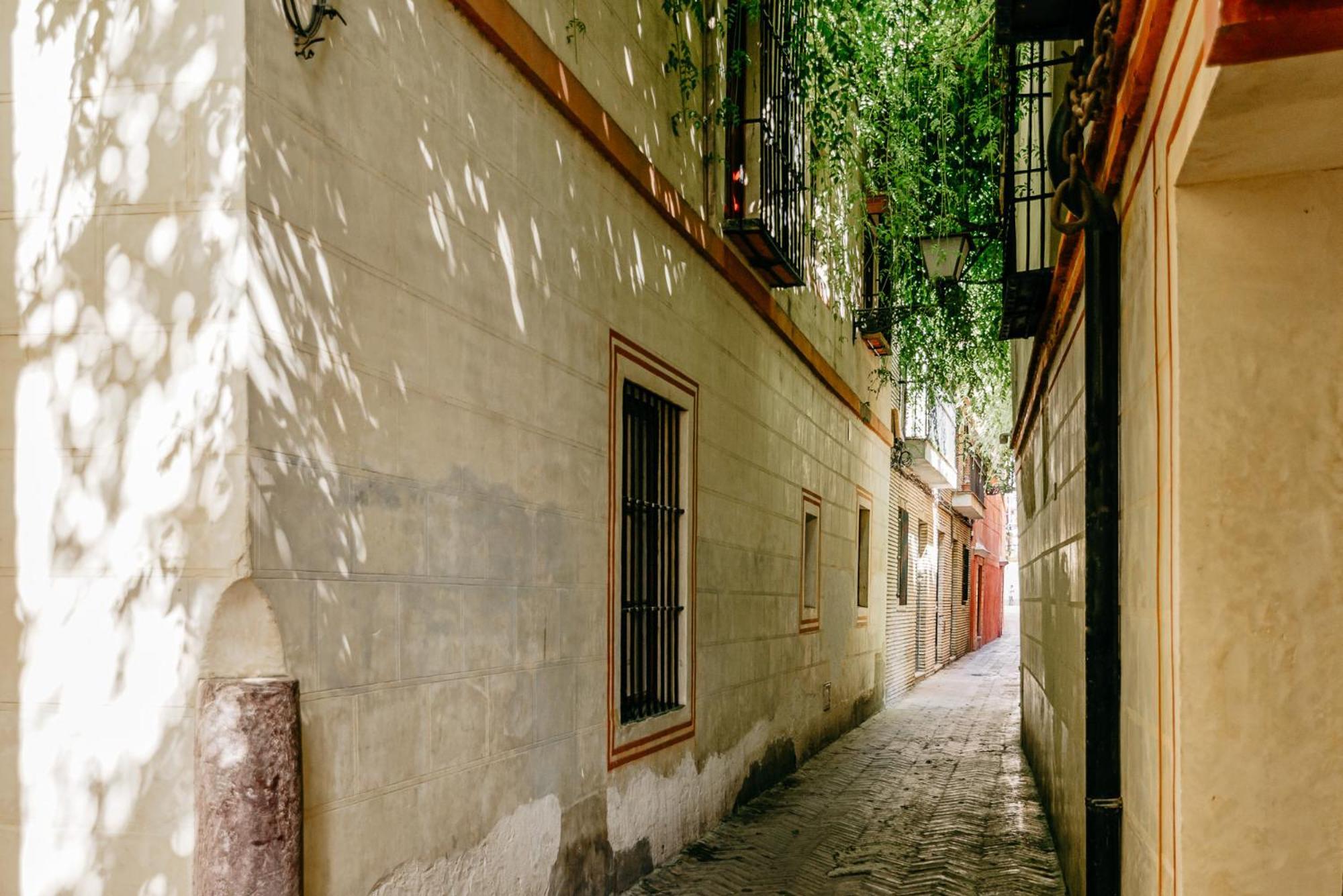 Avanti Santa Cruz, A 500M De Catedral, Puro Confort Siviglia Esterno foto
